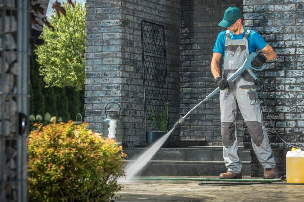 Best Roof Washing  in Frankfort, MI